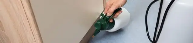 Bed bug exterminator treating baseboards and cracks with targeted spray in Cape Coral, FL