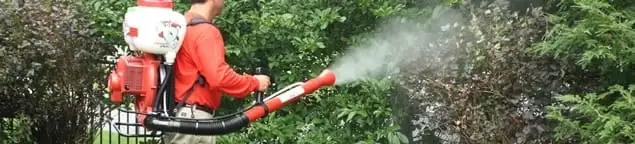 Mosquito control technician fogging shrubs and landscaping for mosquito treatment in Cape Coral, FL