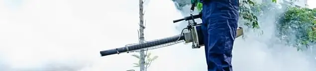 Pest control technician fogging an outdoor area for insect control in Cape Coral, FL