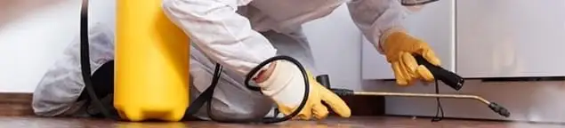 Roach exterminator treating cracks and crevices along kitchen baseboards in Cape Coral, FL