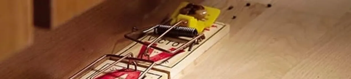 Rodent trap set indoors for rodent control and prevention in Cape Coral, FL